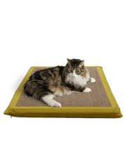 Katze liegt auf Kratzkissen in der Farbe Gelb / Sand - Happy Scratchy
