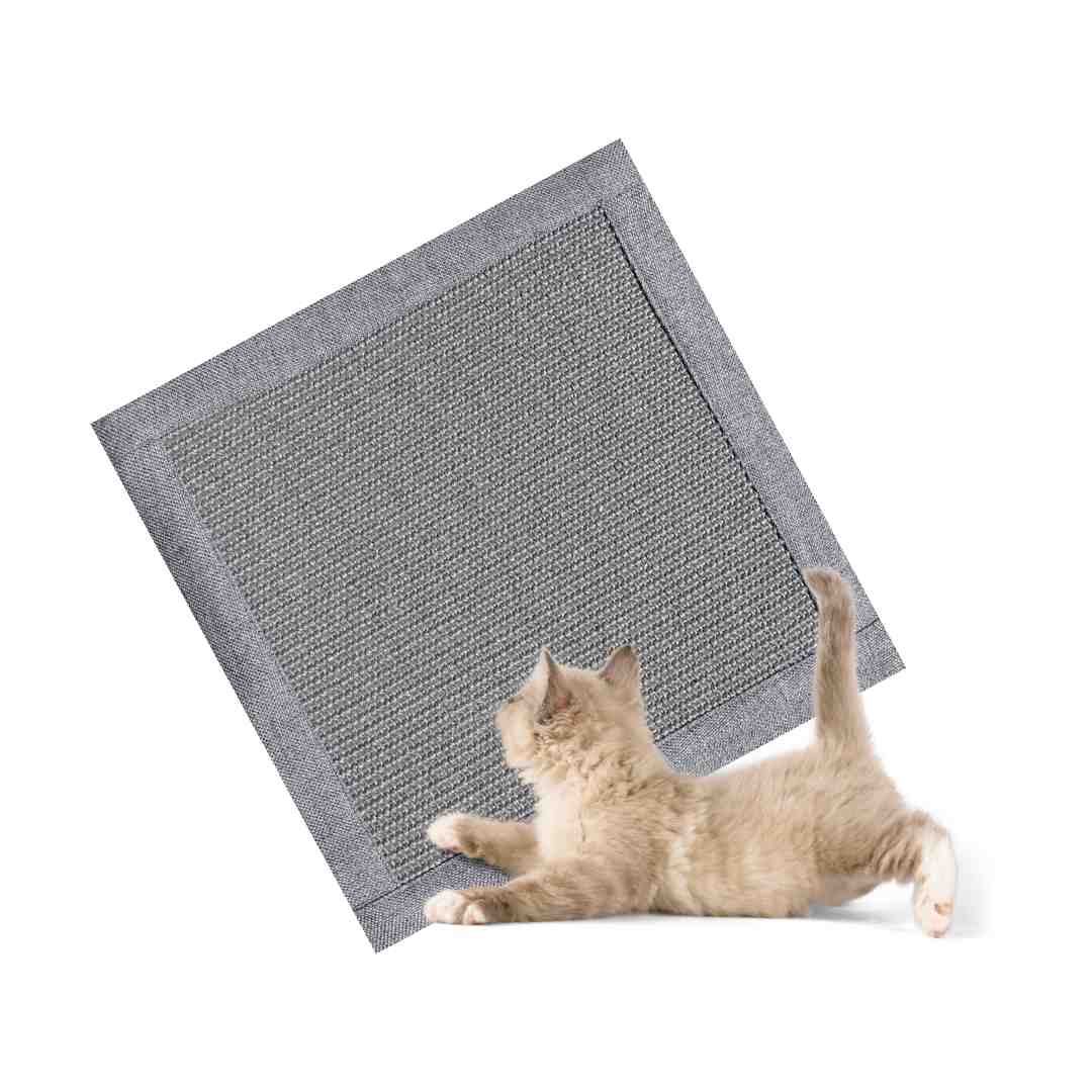 Kratzkissen Grau von oben mit kleiner Katze - Happy Scratchy