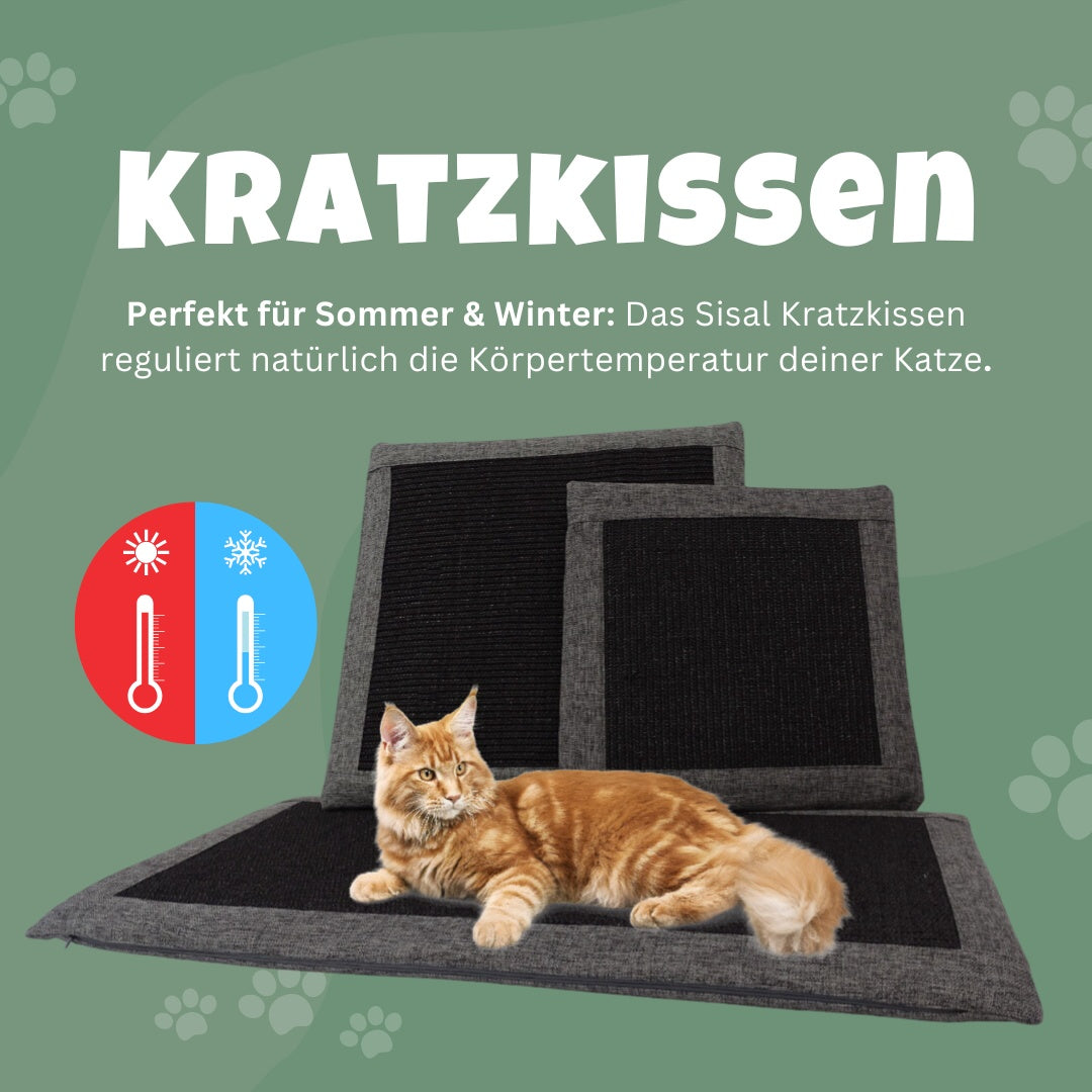 Katze liegt auf großem Kratzkissen, Abbildung aller Grüßen des Sisa-Kratzkissens - Happy Scratchy