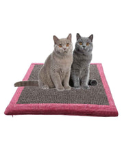 Katzen sitzen auf Kratzkissen in der Farbe Pink / Grau - Happy Scratchy