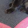 Pfoten einer Katze auf Kratzkissen der Farbe Pink / Grau - Happy Scratchy