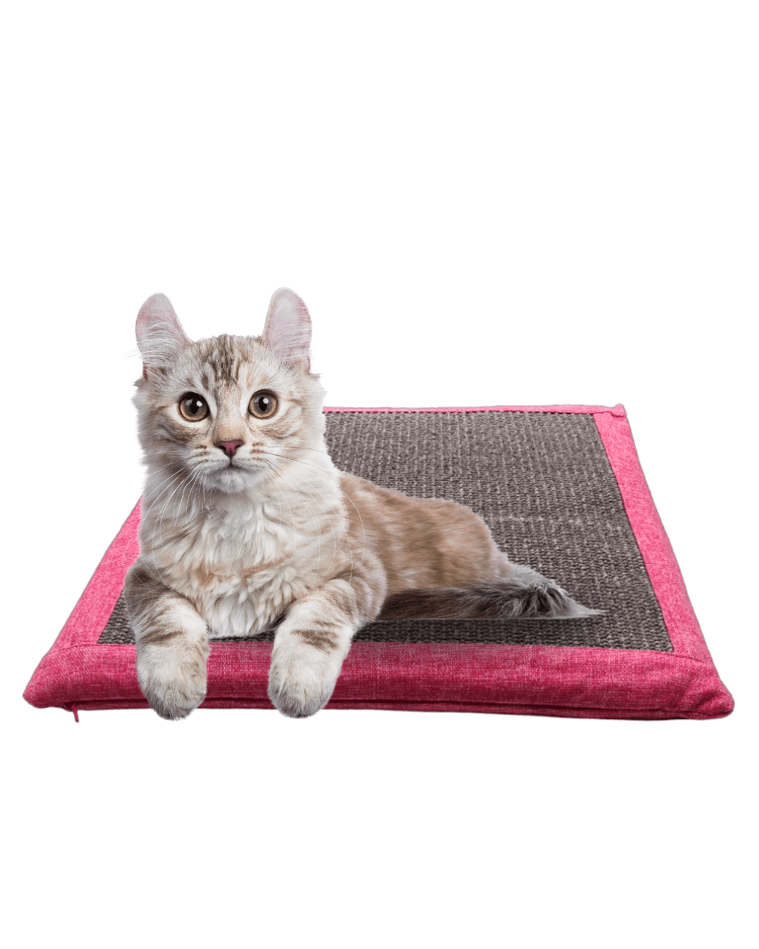 Katze liegt auf Kratzkissen in der Farbe Pink / Grau - Happy Scratchy