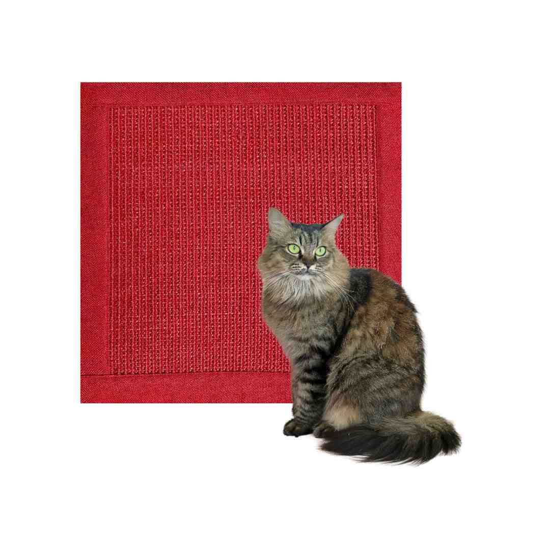 Katze liegt vor Kratzkissen in der Farbe Rot - Happy Scratchy