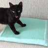 Katze steht auf einem Katzen-Kratzkissen in der Farbe türkis auf dem Sofa - Happy Scratchy