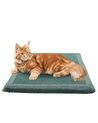 Katze liegt auf einem Katzen-Kratzkissen in der Farbe türkis - Happy Scratchy