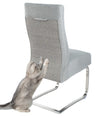 Katze kratzt an Stuhlhusse grau mit Kratzmatte - Happy Scratchy